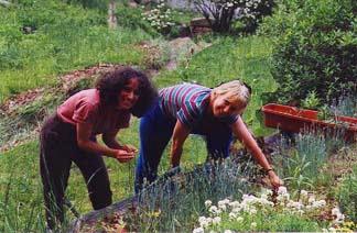 gardening.jpeg (21766 bytes)